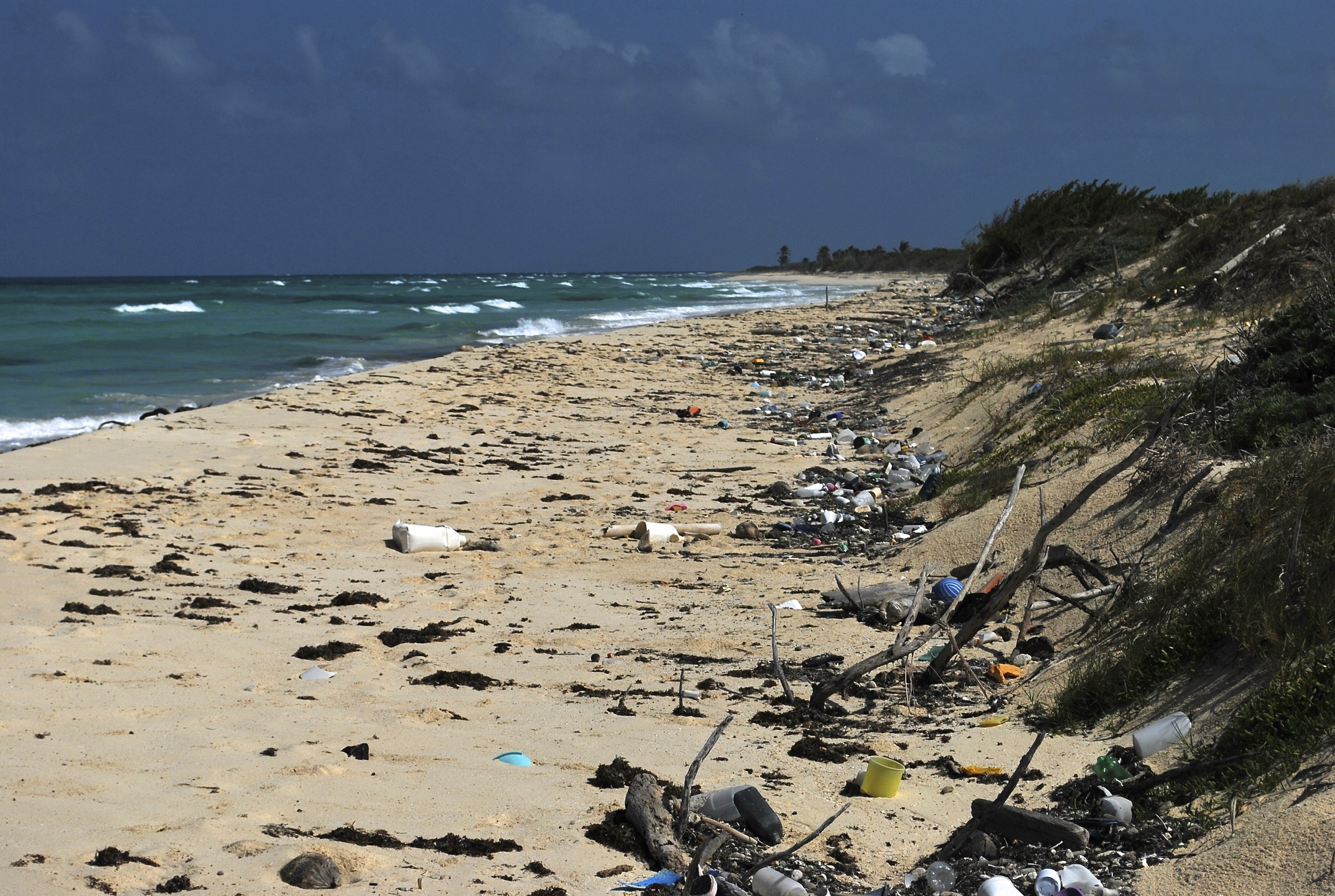   Learn how to keep plastic out of the ocean  