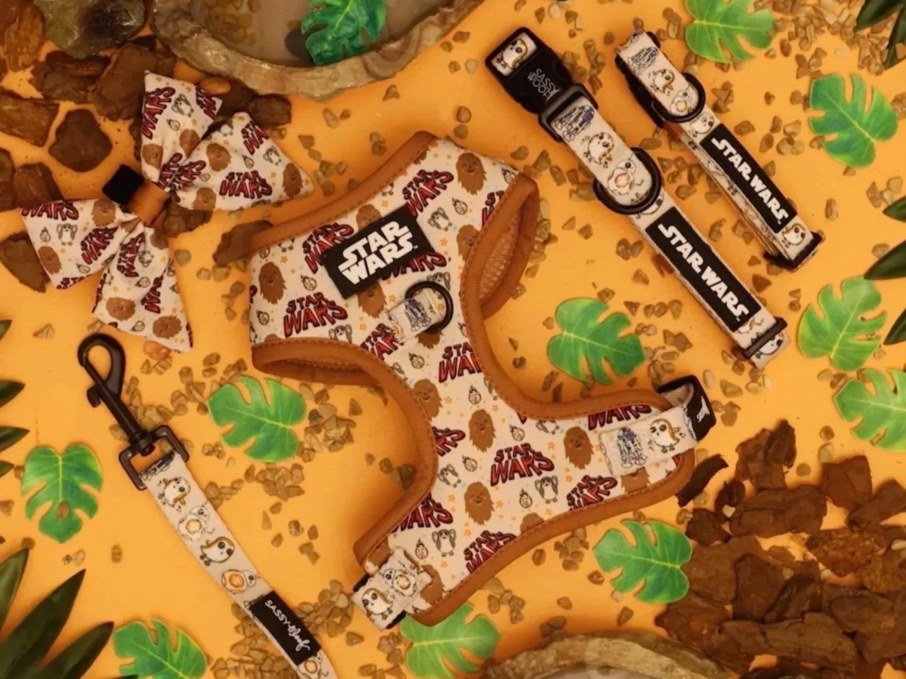 Sassywoof X STAR WARS™ Launch Reel