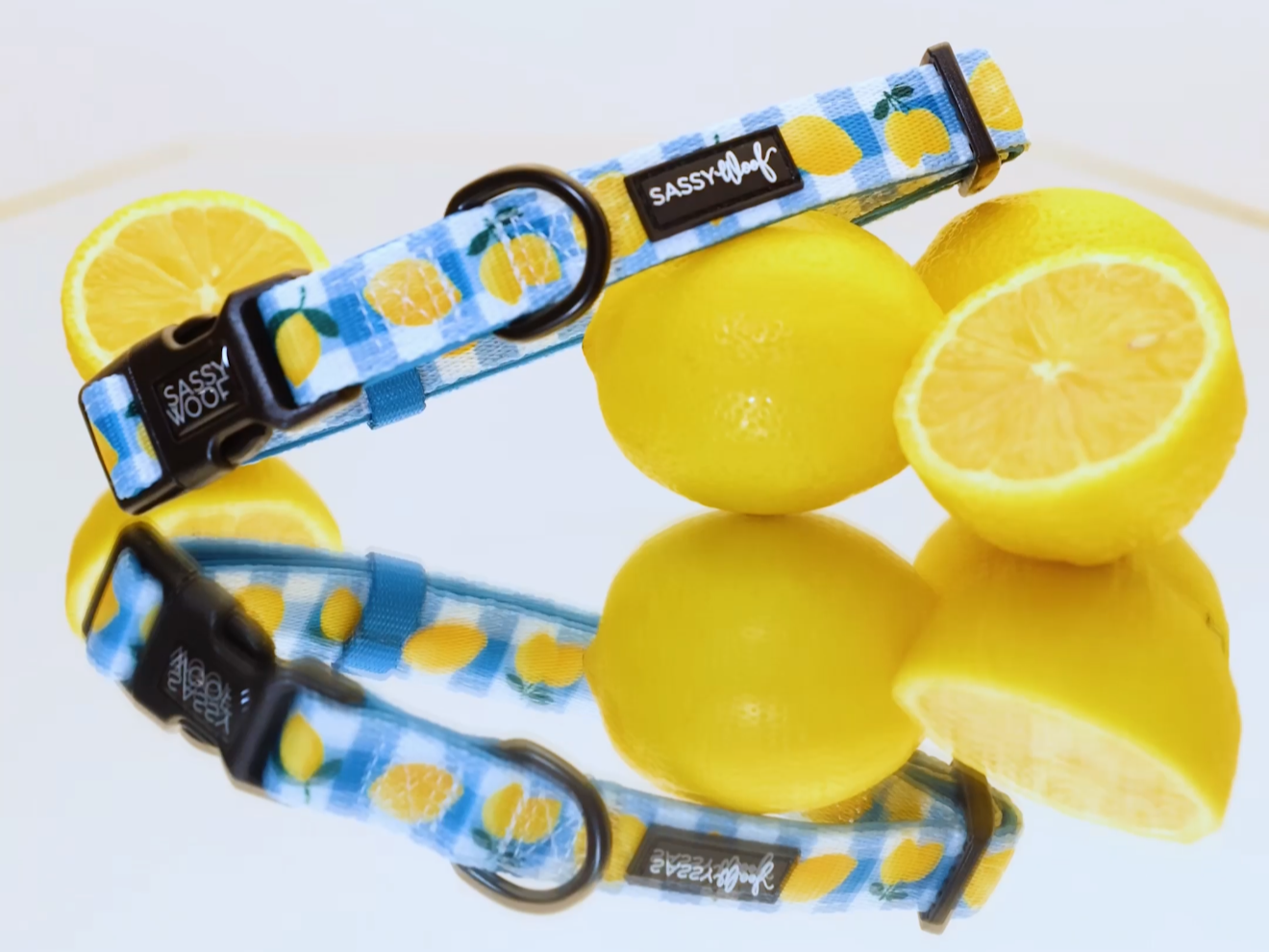 Sassy Woof x Walmart Lemons Launch Reel