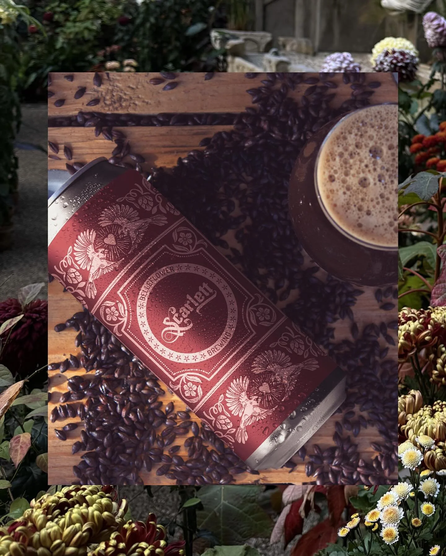 Label design for Scarlett, a red ale by the one and only @belleflowerbeer 

Going into designing this label, we wanted something that felt as warm and rich as the ingredients and flavor notes themselves (toffee, caramel and pine). My mind immediately