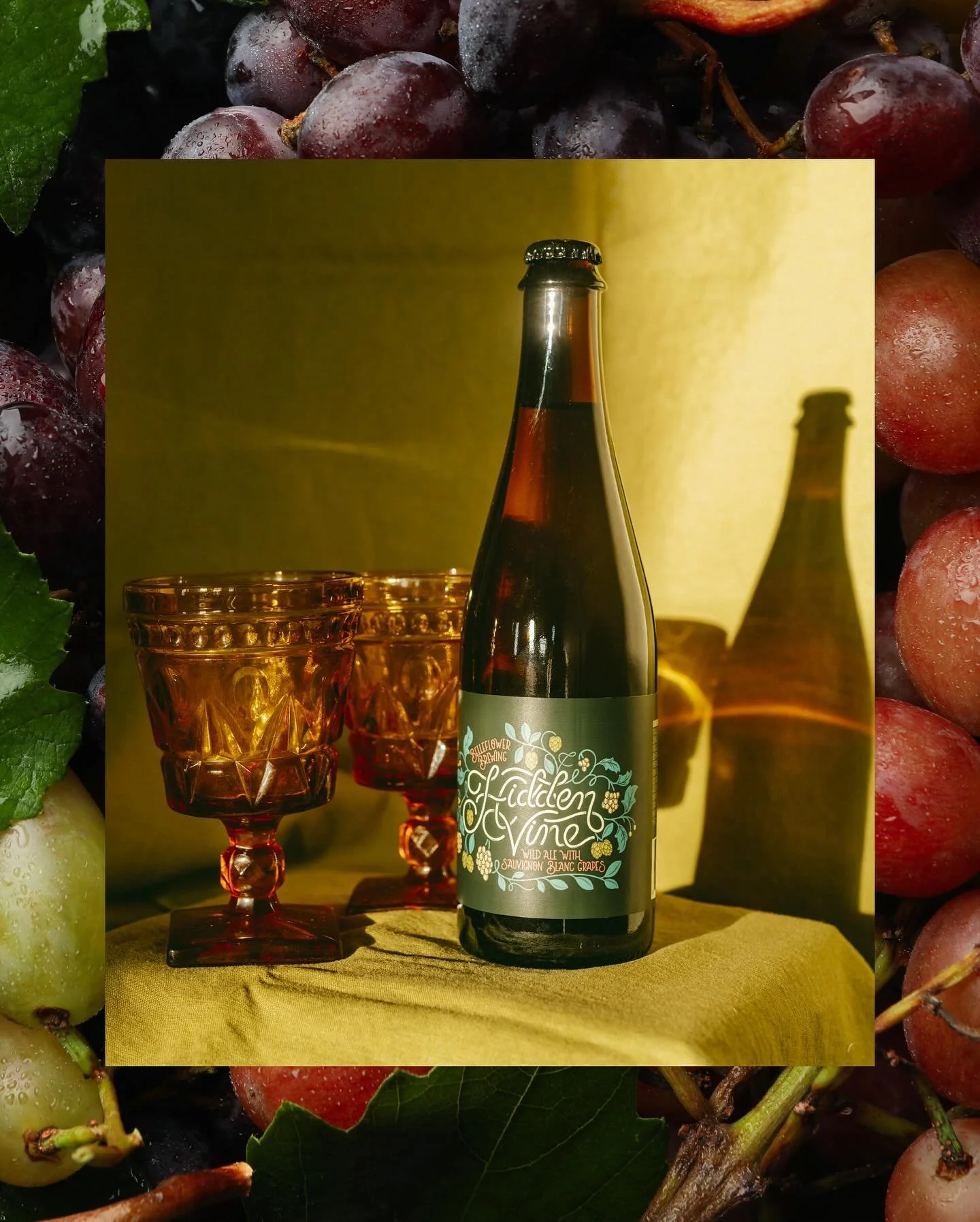 Label design for Hidden Vine, a wild ale and Sauvignon Blanc hybrid from @belleflowerbeer 

Hidden Vine was first released back in 2022 and was the first beer label I ever did! It&rsquo;s now available again as a 2025 Vintage and pairs perfectly with