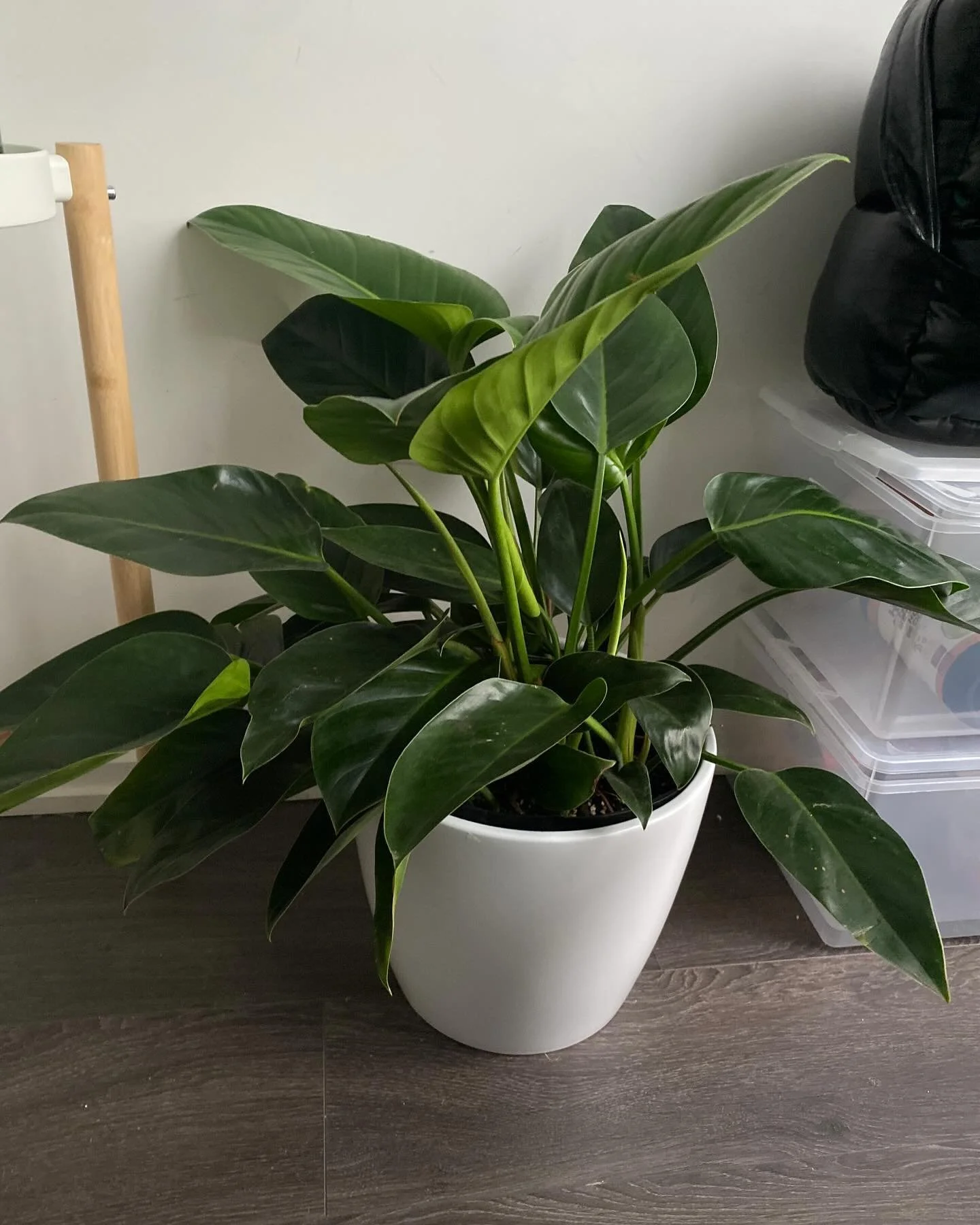 Proof of life 🌱