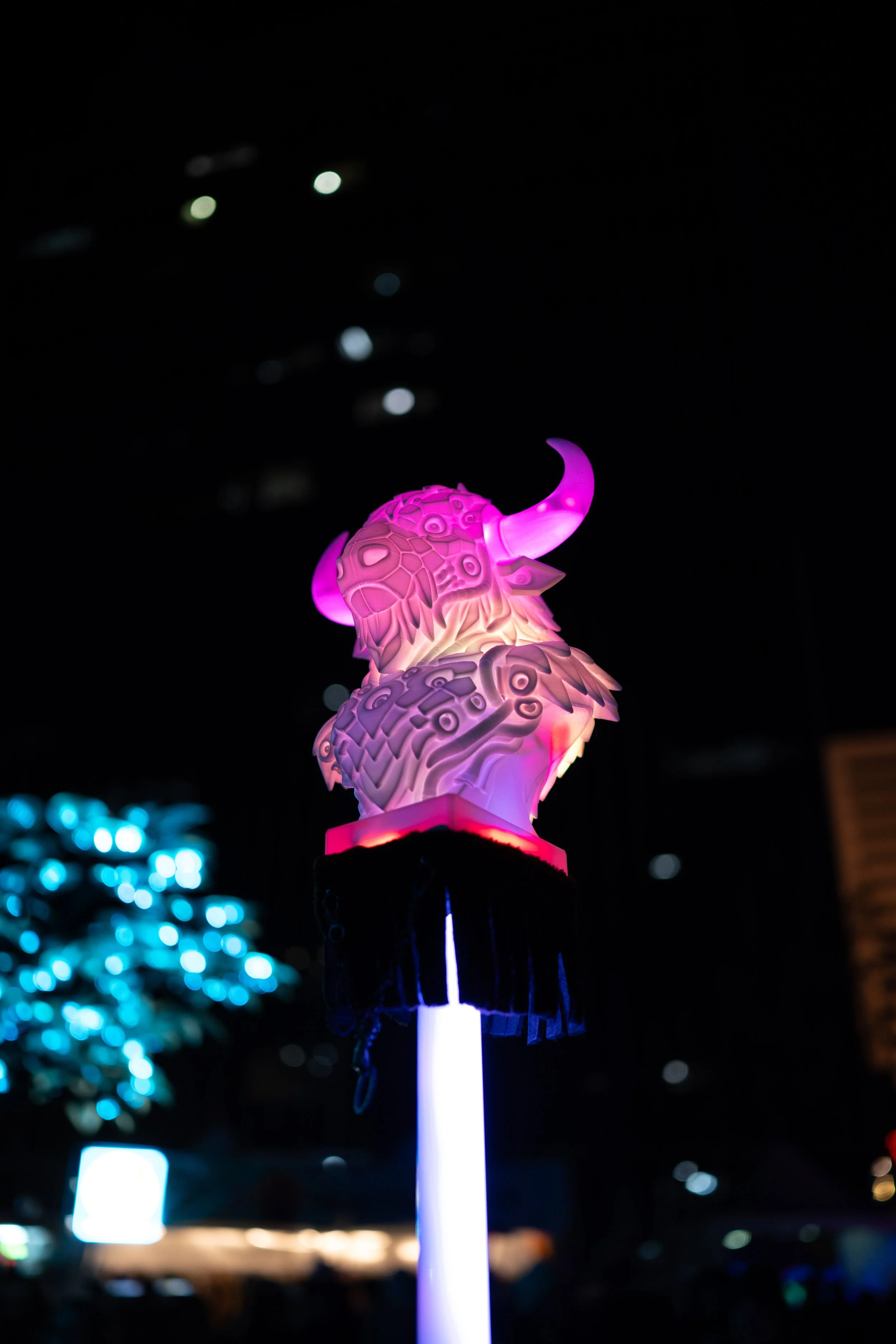 Z52_8732.jpg