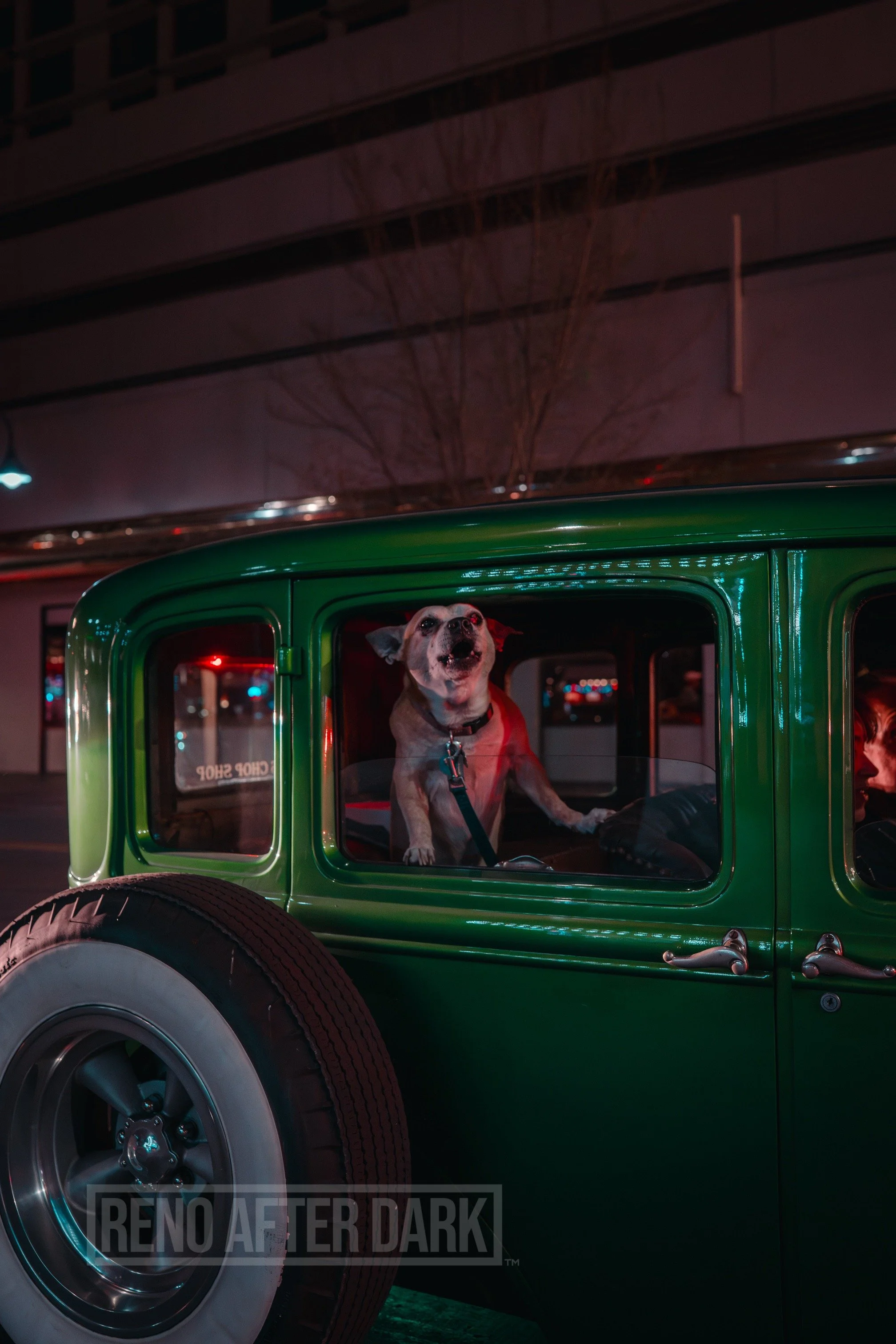 renoafterdark_0013.jpg