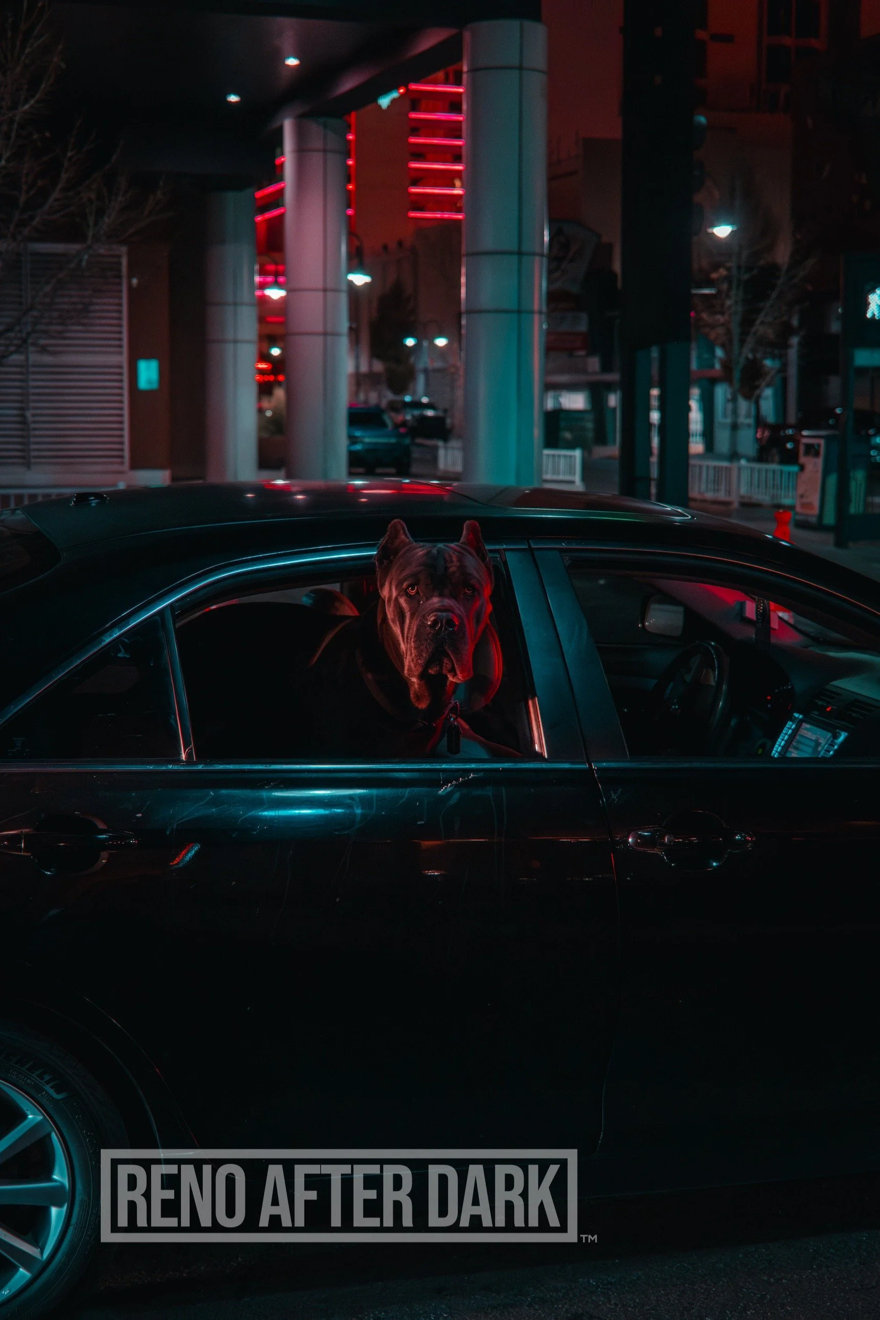 renoafterdark0016.jpg