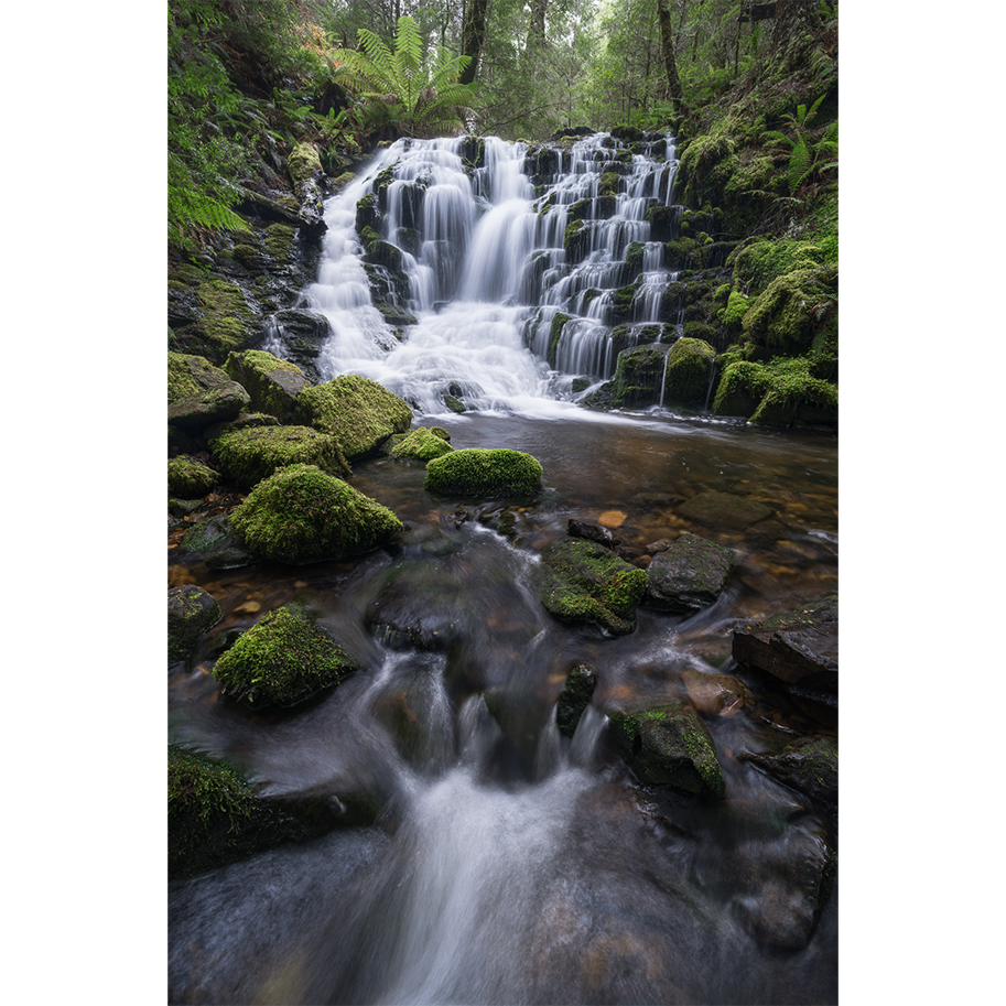 Watery Steps (Cradle Mountain, TAS)