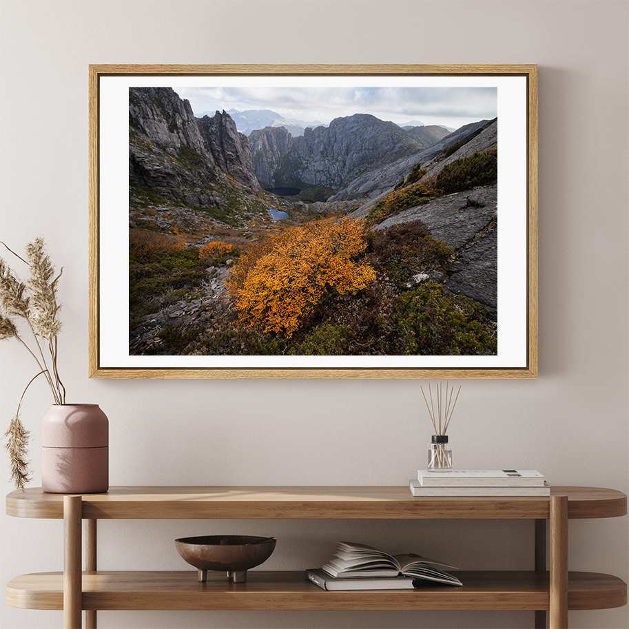 VIEWS-OF-THE-WEST---MOCKUP.png