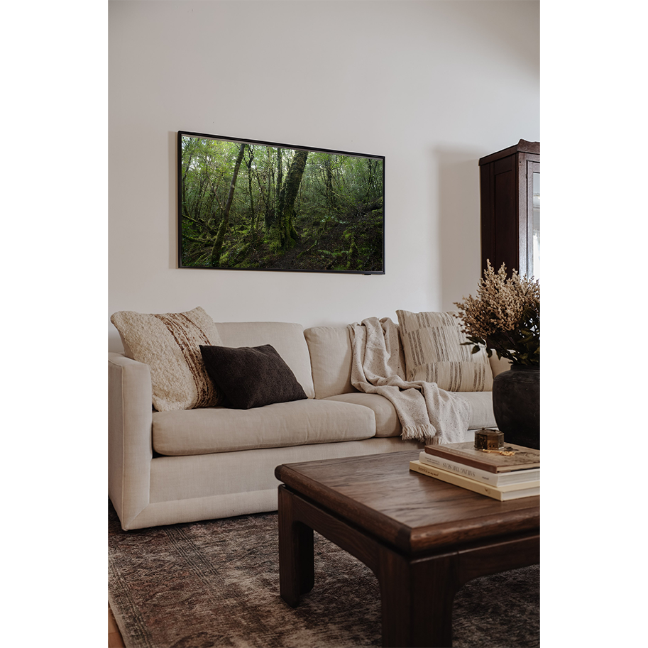 GNARLED-CANOPY---MOCKUP-2.png