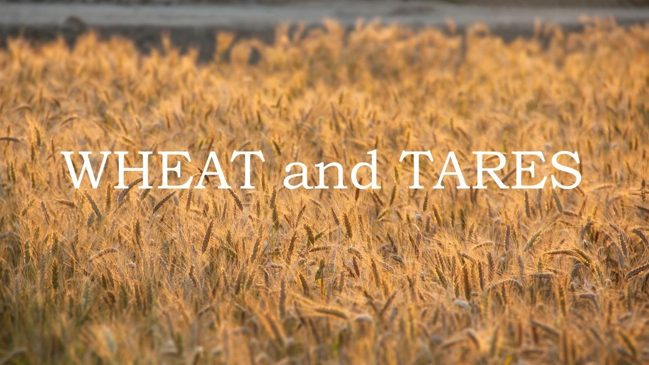Wheat and Tares