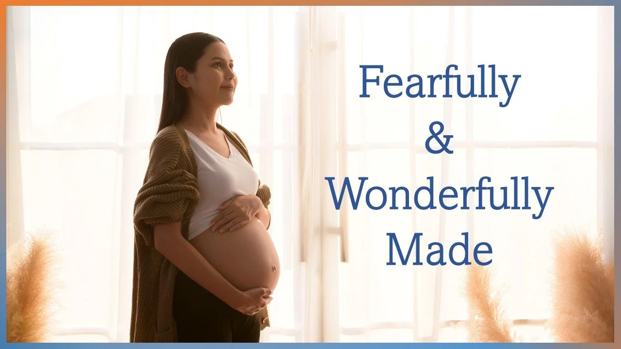 Fearfully &amp; Wonderfully Made