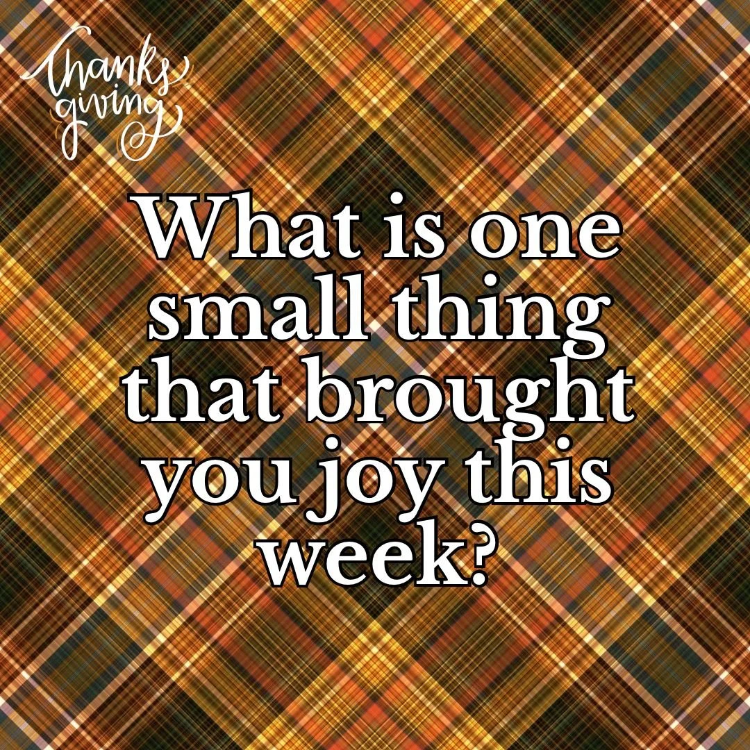 Gratitude grows when we notice the small things. What is one small thing that brought you joy this week?  Nothing is too small to thank God for.
⠀⠀
&ldquo;This is the day the Lord has made; let us rejoice and be glad in it.&rdquo; &mdash; Psalm 118:2