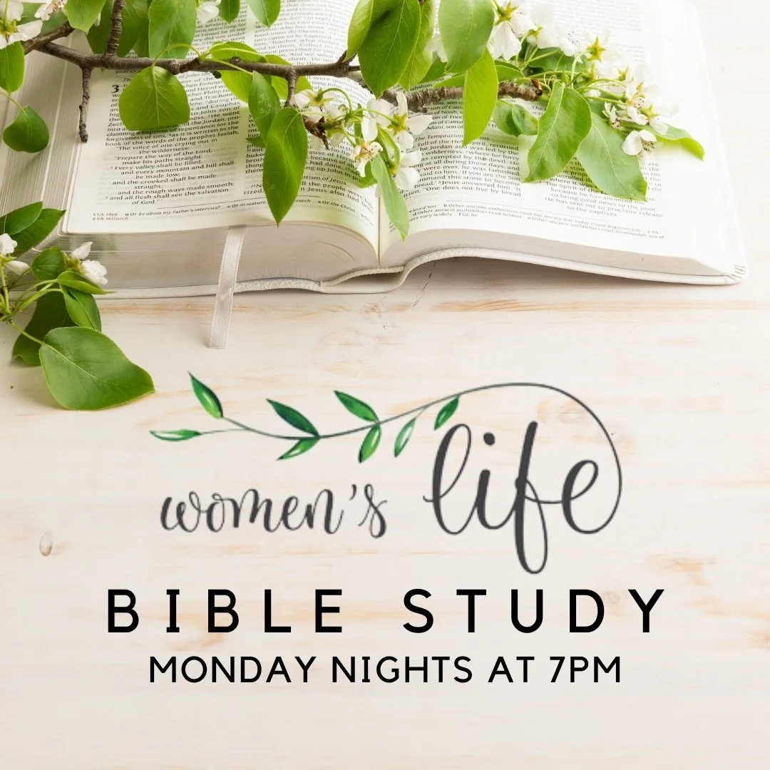 ONE IN A MILLION: JOURNEY TO YOUR PROMISED LAND

Beginning Monday, September 14
A study by Priscilla Shirer, led by Jessica Busenitz
Room 108

Workbooks are $20 and may be purchased at the study.