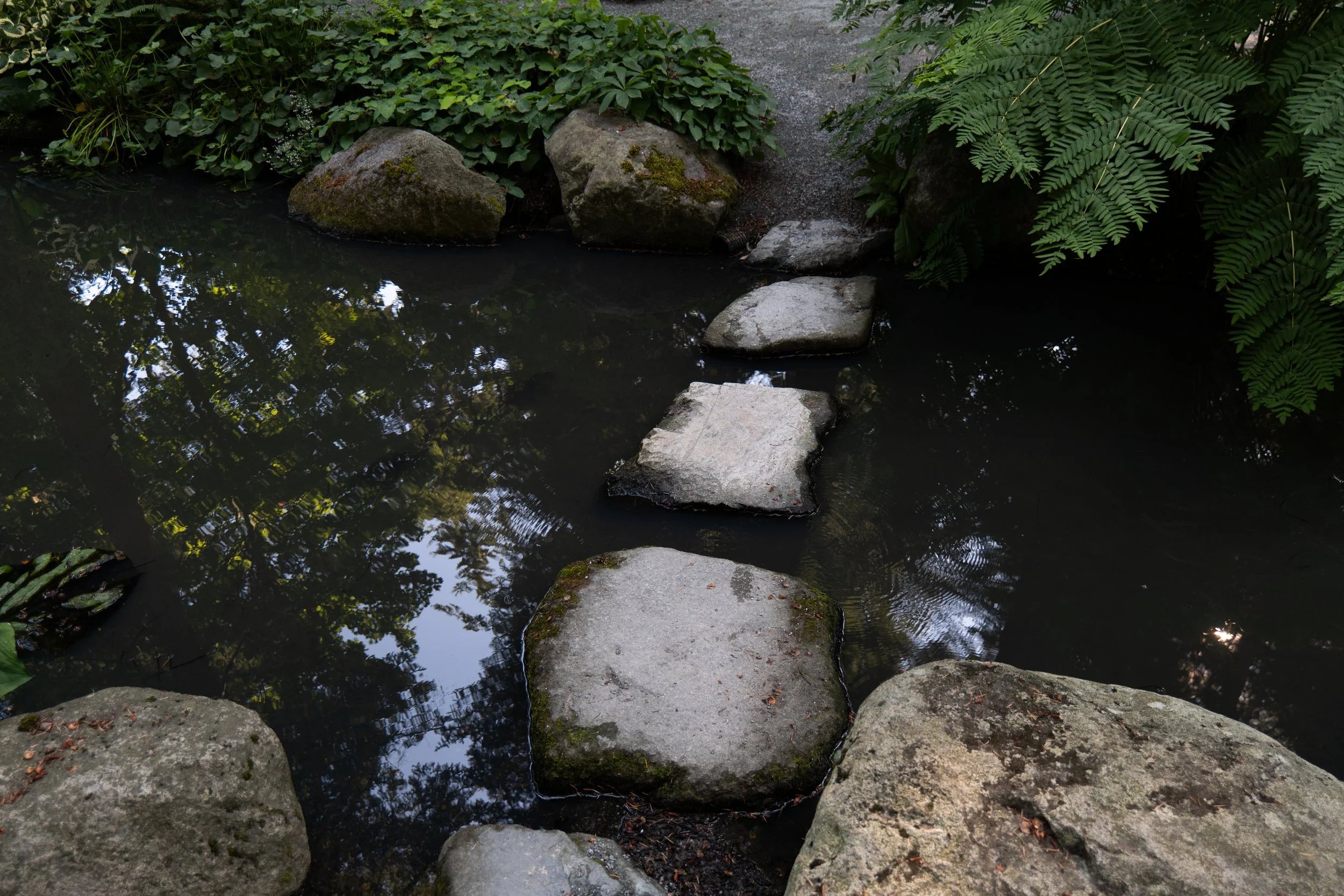 P1010540.jpg