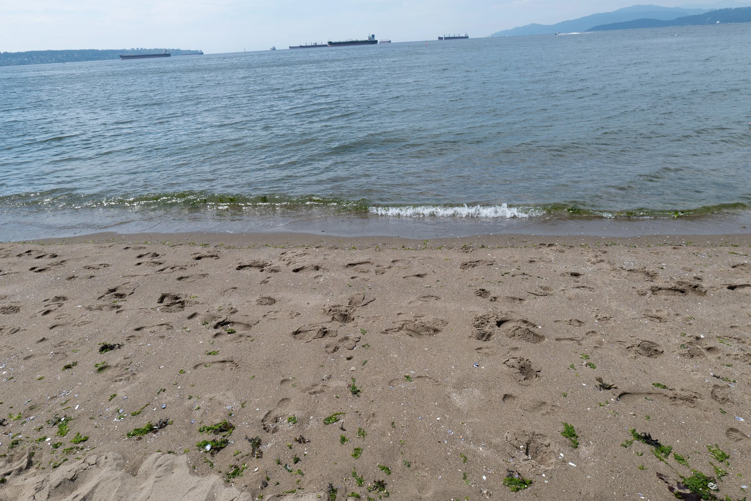 P1010624.jpg