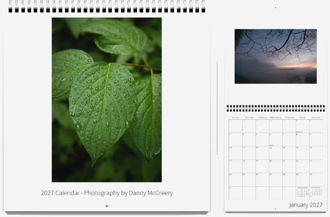 Screenshot 2026-09-15 at 12-50-54 Designer.png