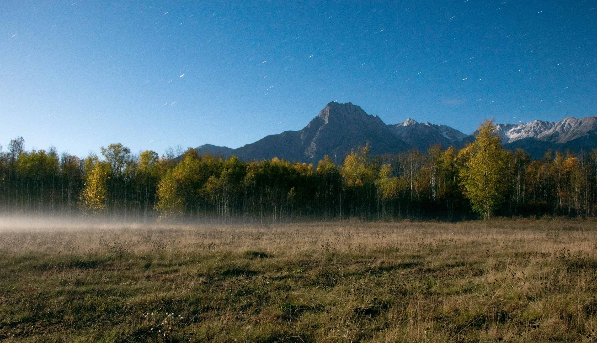 Nighttime mountain landscape with a clear sky filled with stars, a mountain range, and a foreground of trees and grassy fields.