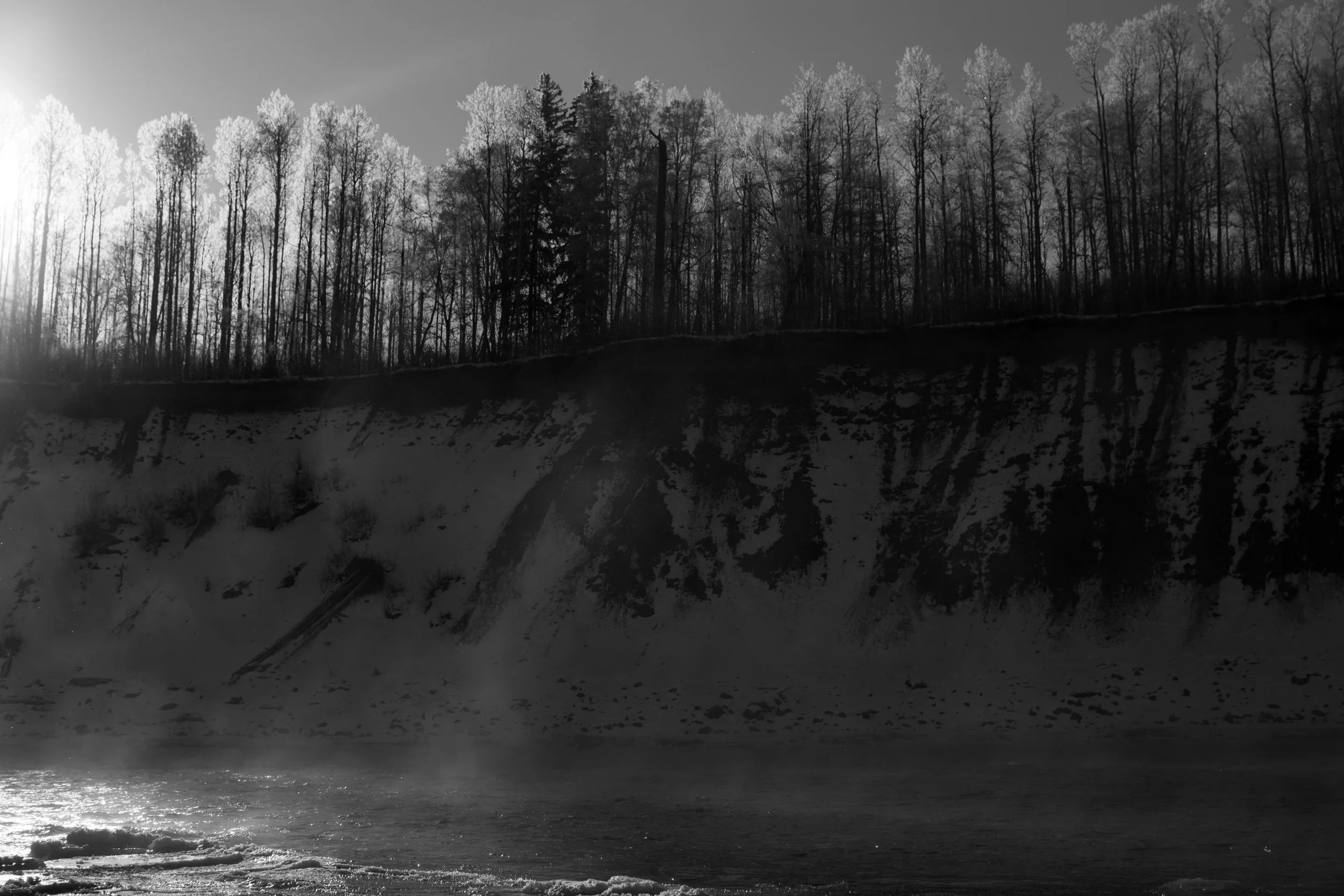 Black and white photo of a forest with tall trees against the sky and a body of water reflection in the foreground.