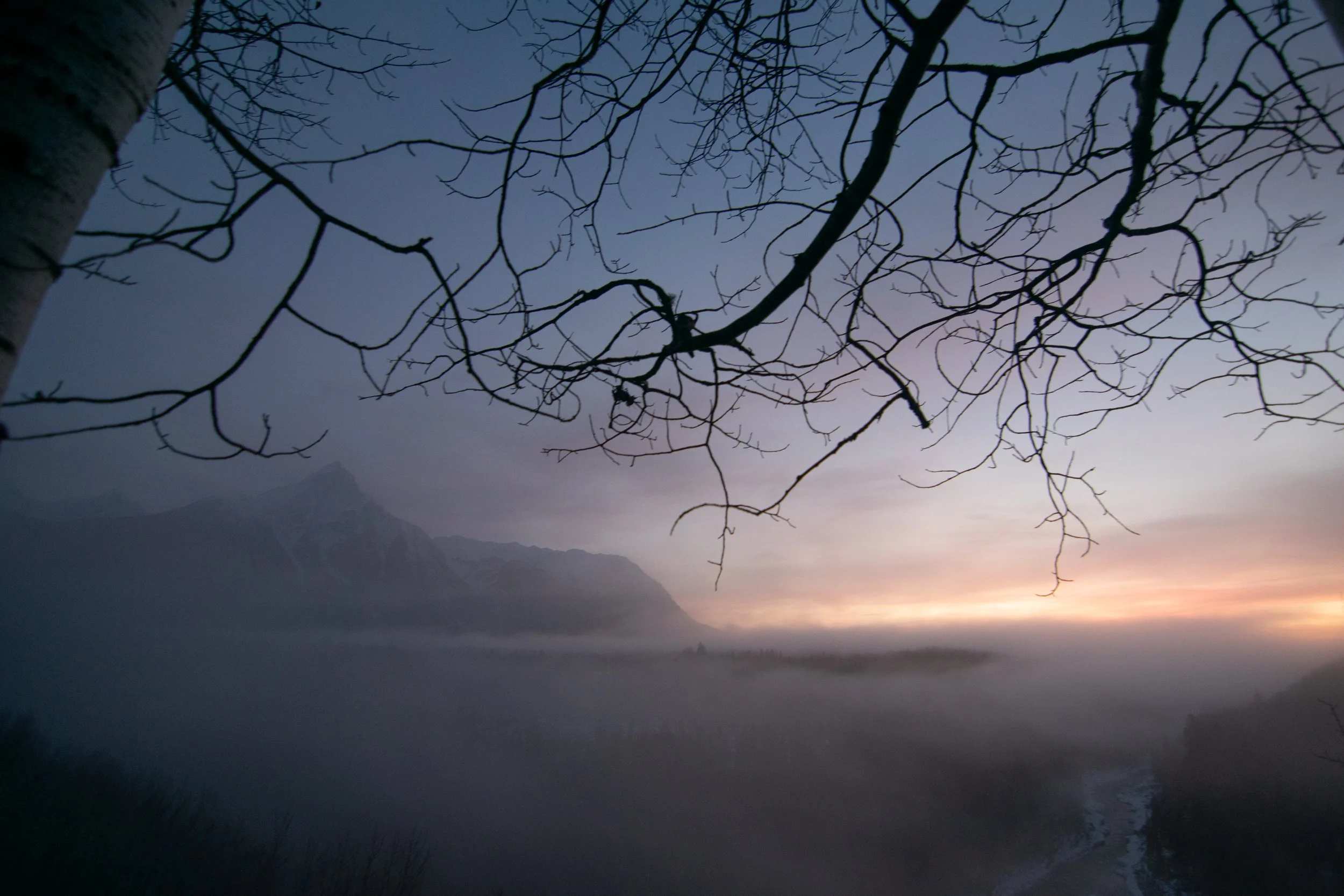 View of leafless tree branches against a twilight or dawn sky with mountains in the background.