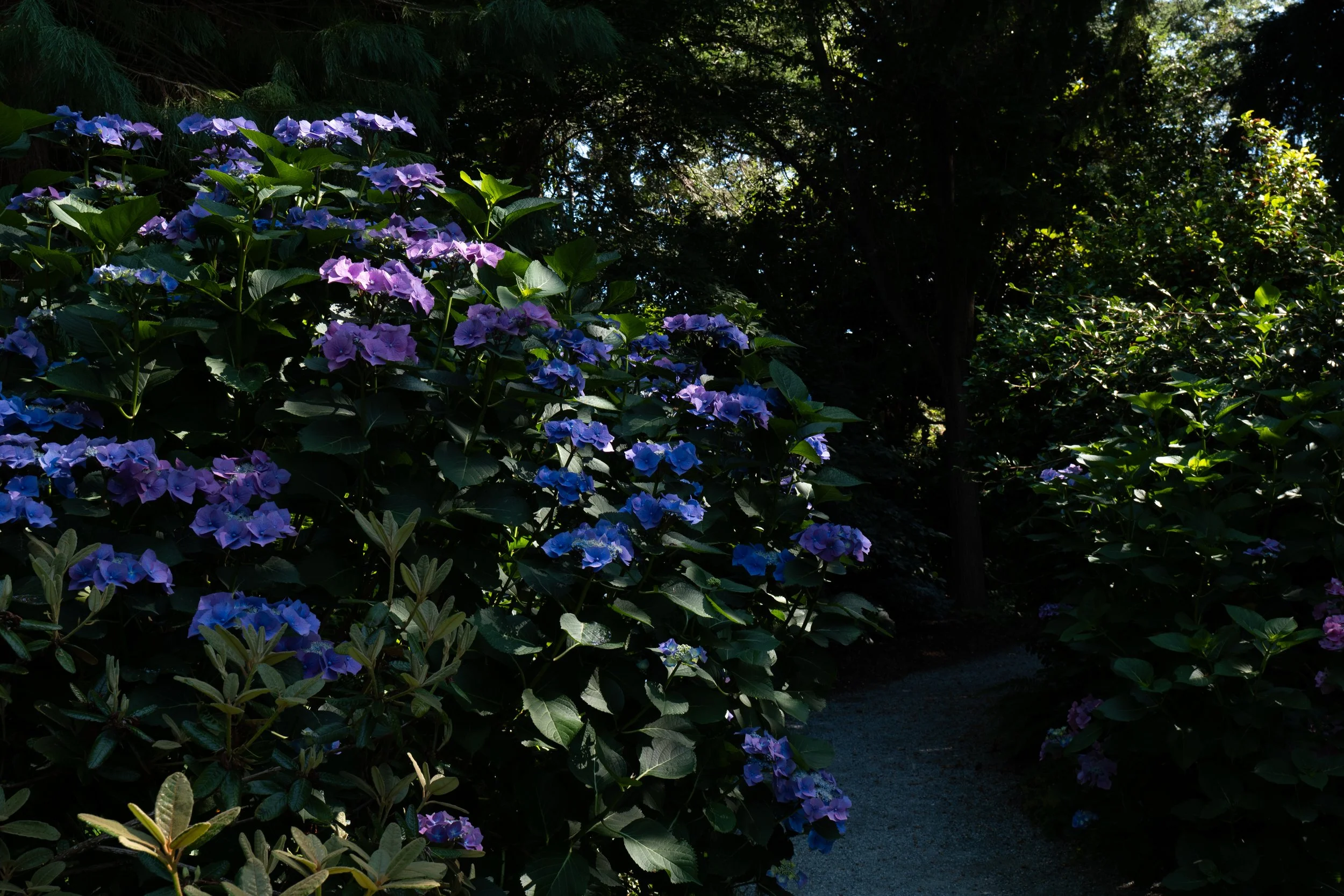 P1010539.jpg