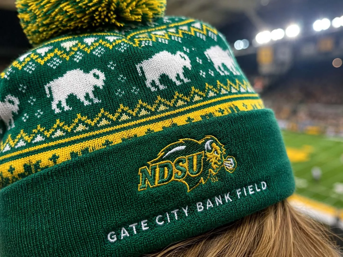 hat on head detail shot.jpg