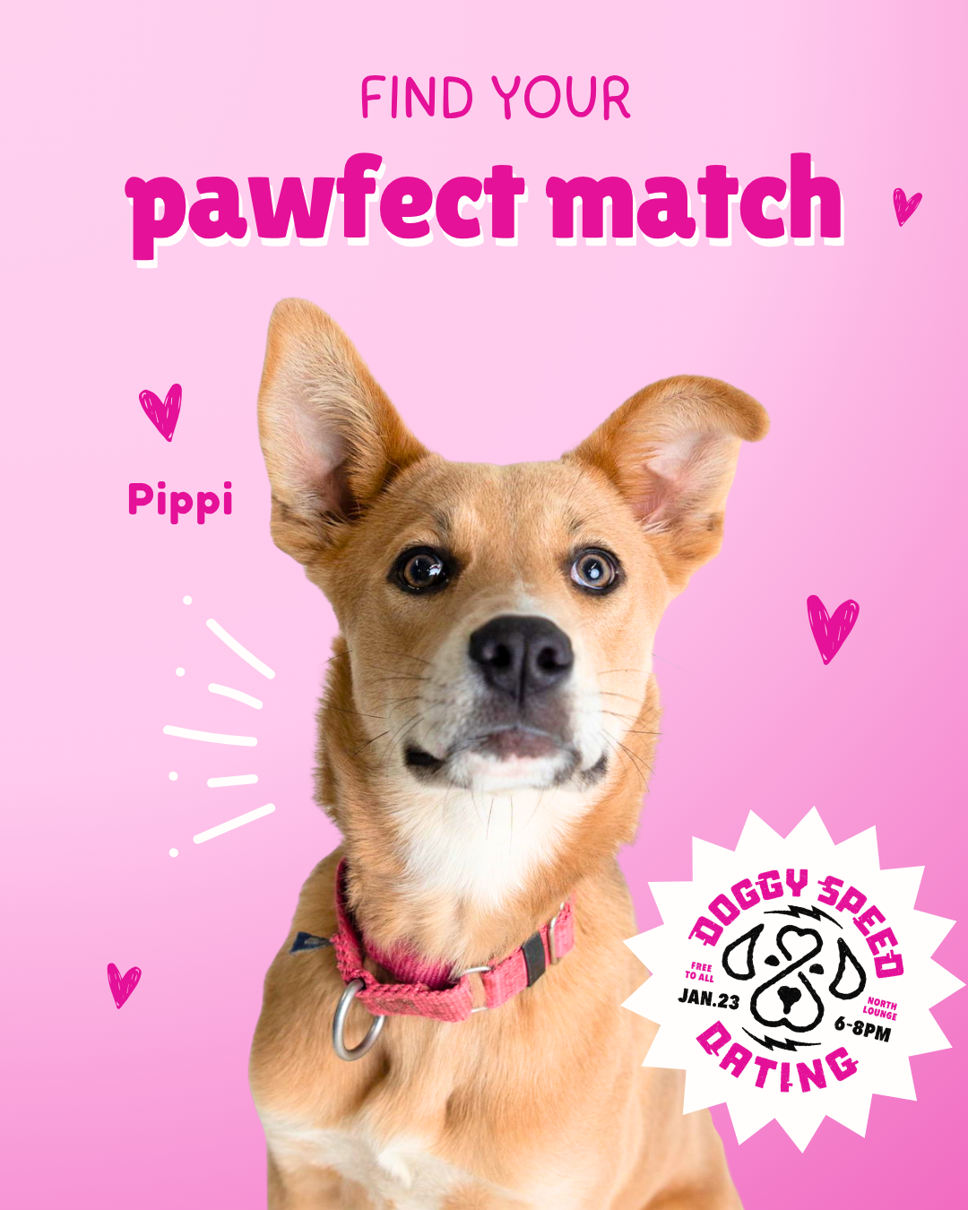 Copy of Doggy Speed Dating Day Of Post (Instagram Post (45)).png