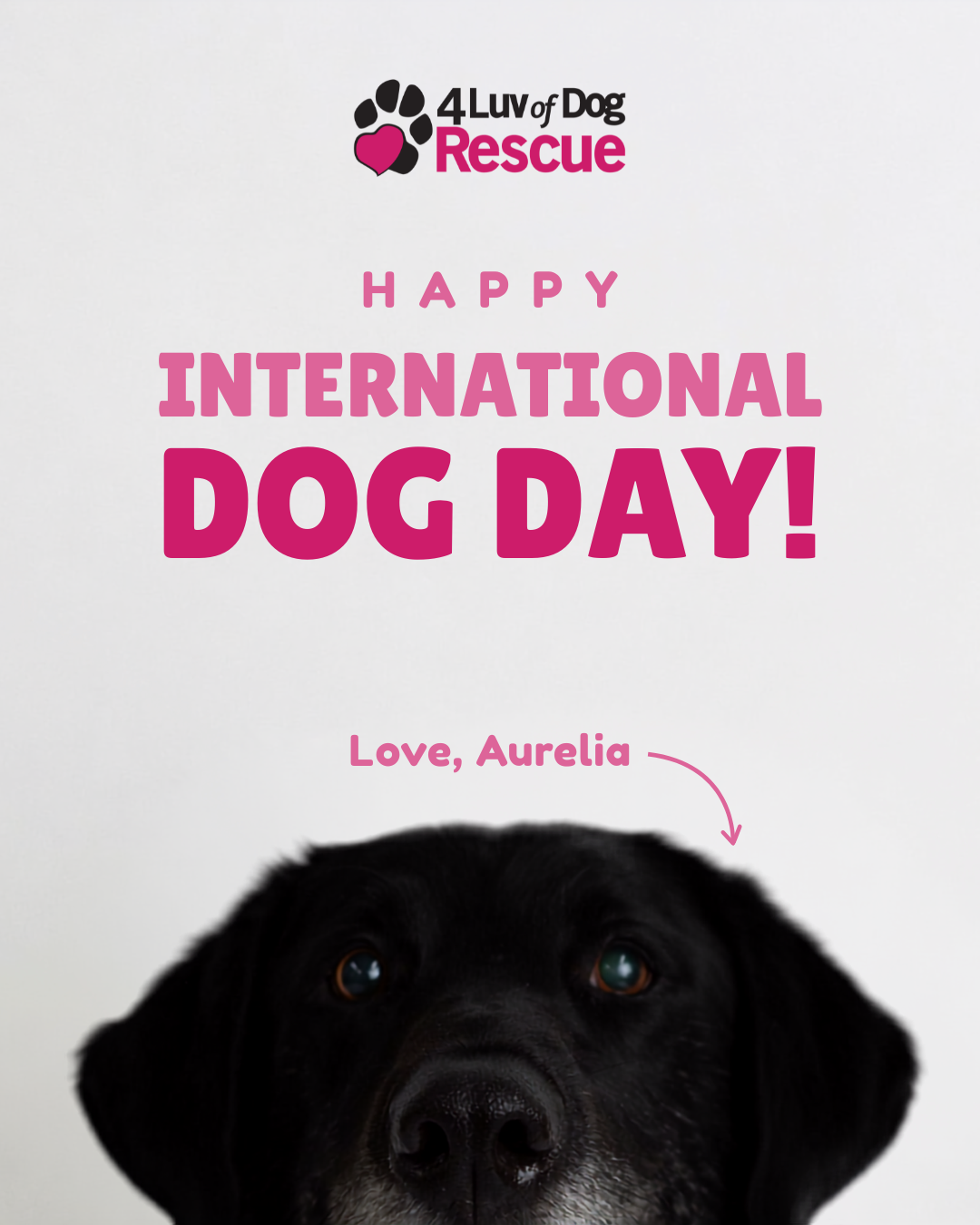 international dog day.png
