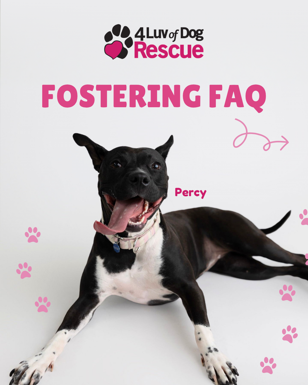 fostering FAQ.png