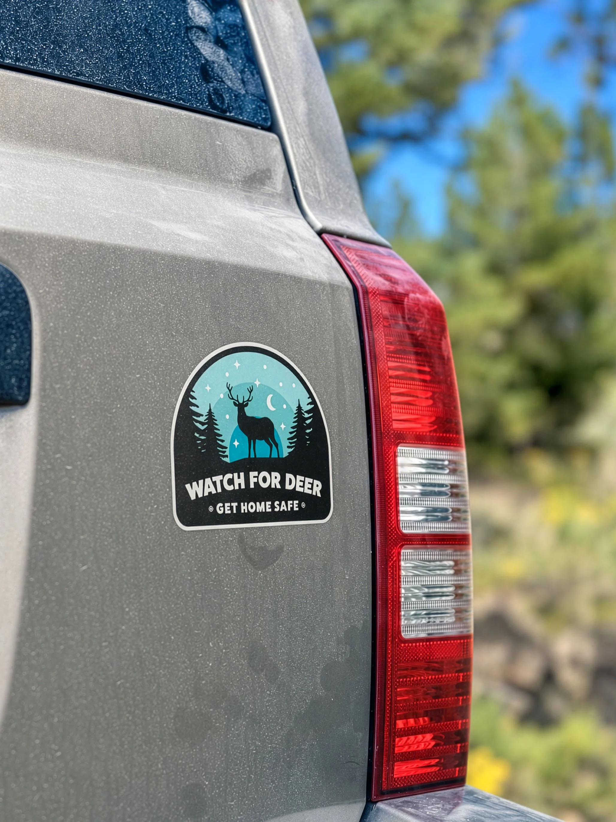 car bumper sticker.jpg