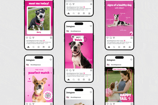 Nonprofit Social Media System