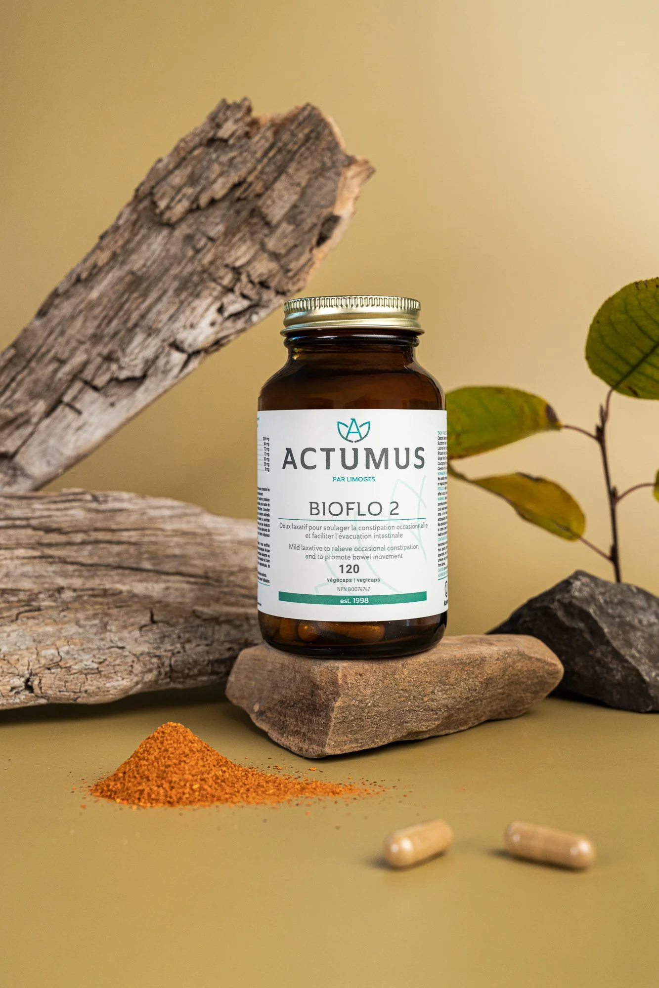 Actumus shoot 2-606-Modifier-2.jpg