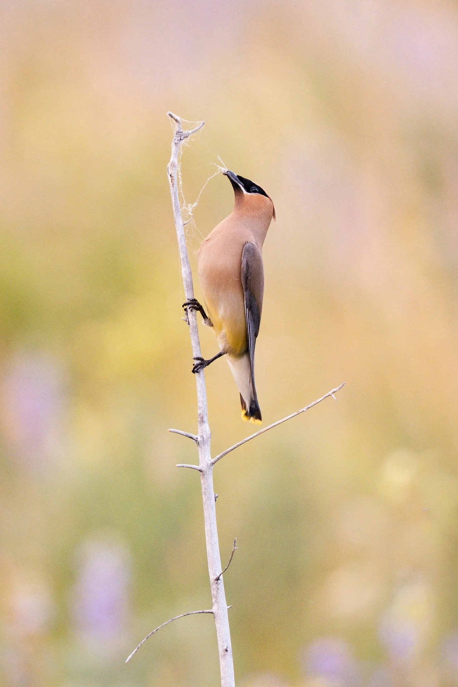 DSCF5713.jpg