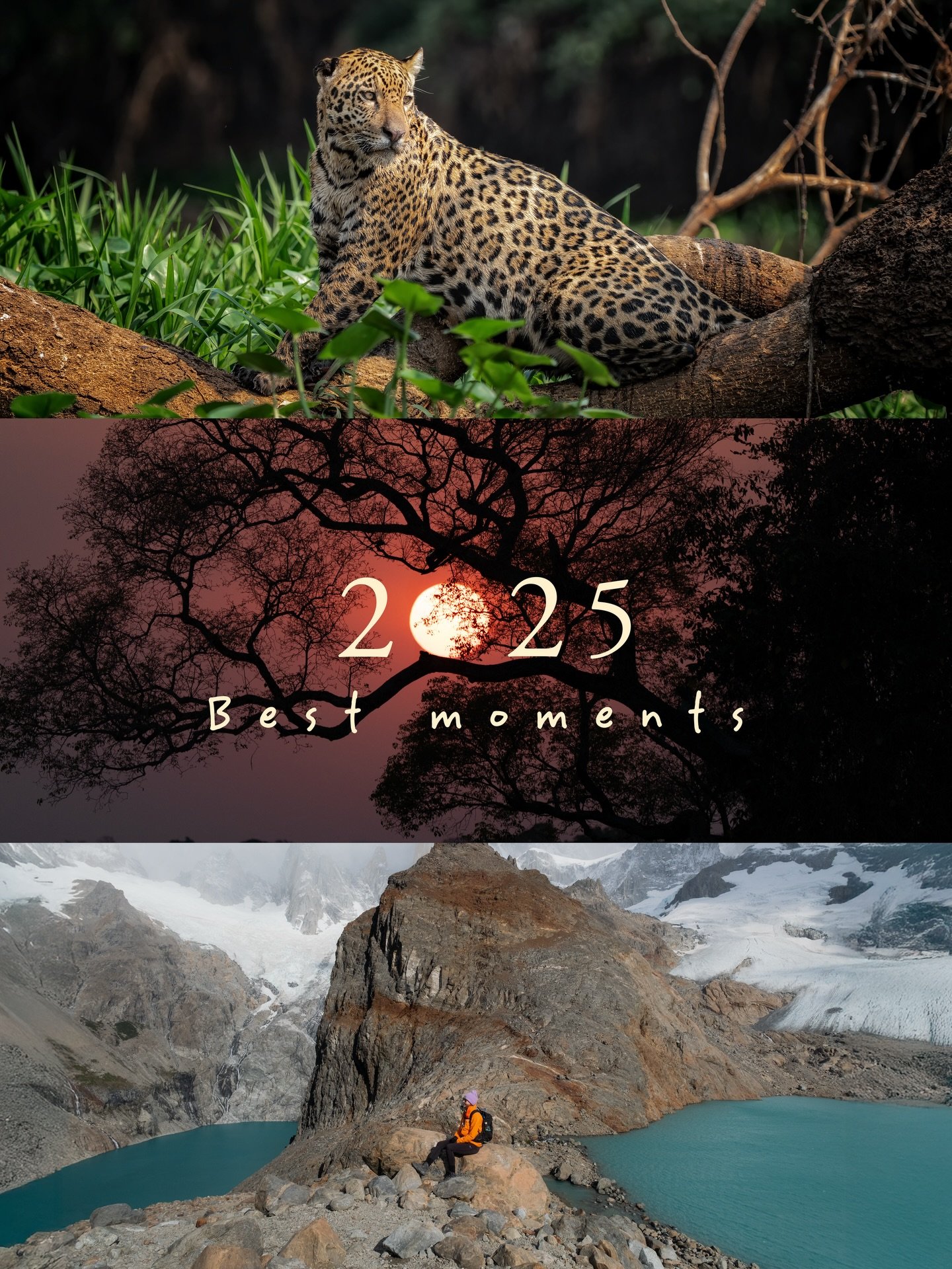 Meilleurs moments en nature de 2025 🐧⛰️🐆

[2-7]: La pagagonie et ses montagnes, sa faune et ses habitants si accueillants.
[8-9] Le d&eacute;sert d&rsquo;Atacama
[10-11] Une semaine en Gasp&eacute;sie et dans le Bas-Saint-Laurent
[12] Donner une co