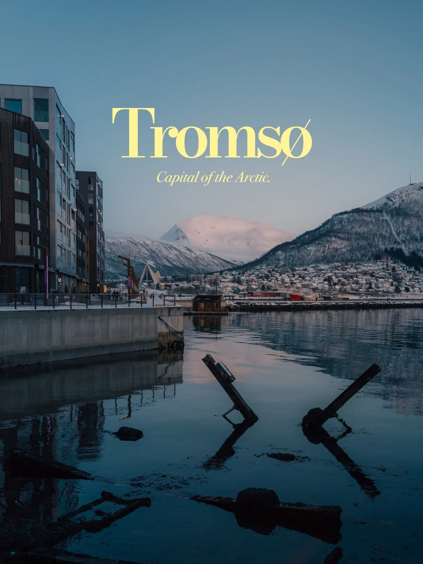Tromso, capitale de l&rsquo;Artique, o&ugrave; les caribous se prom&egrave;nent &agrave; 15 minutes du centre ville ⛰️