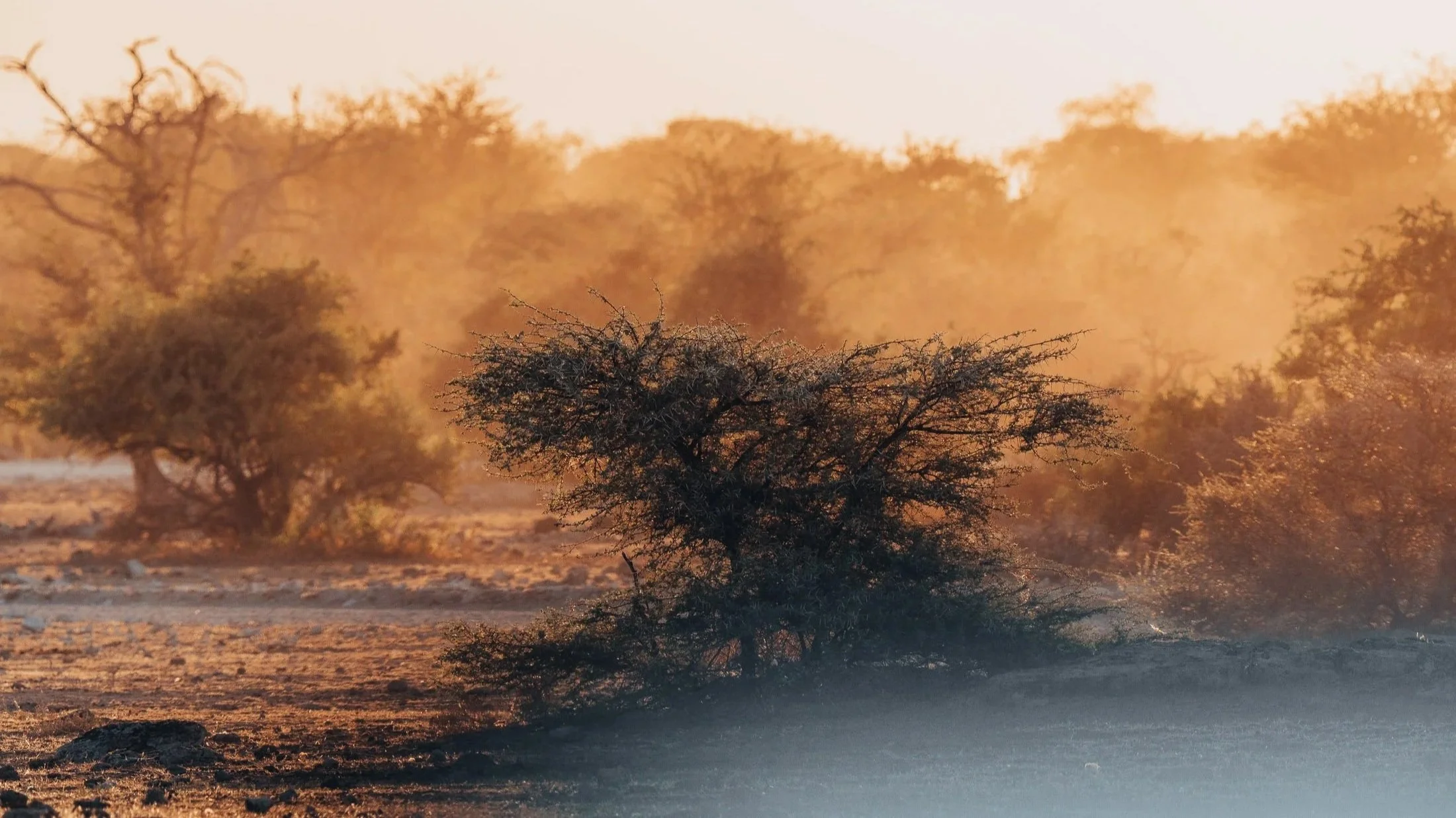 Maggie+Parise+-+Namibia-18.jpg