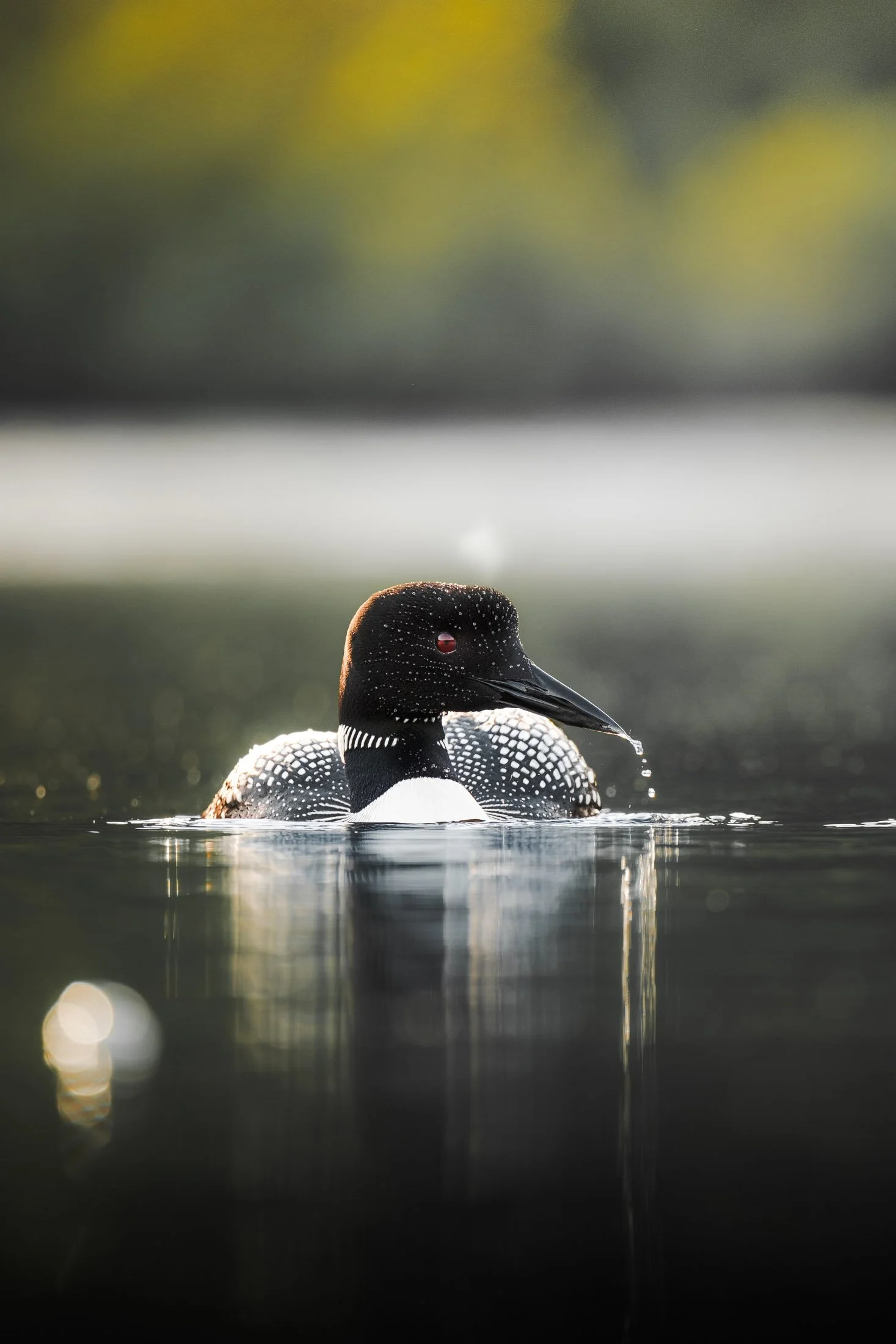 Maggie Parise - Birds-12.jpg
