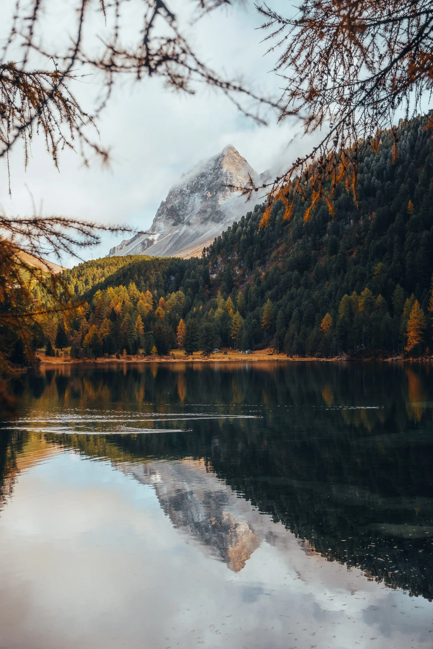 Maggie Parise - Alps-13.jpg
