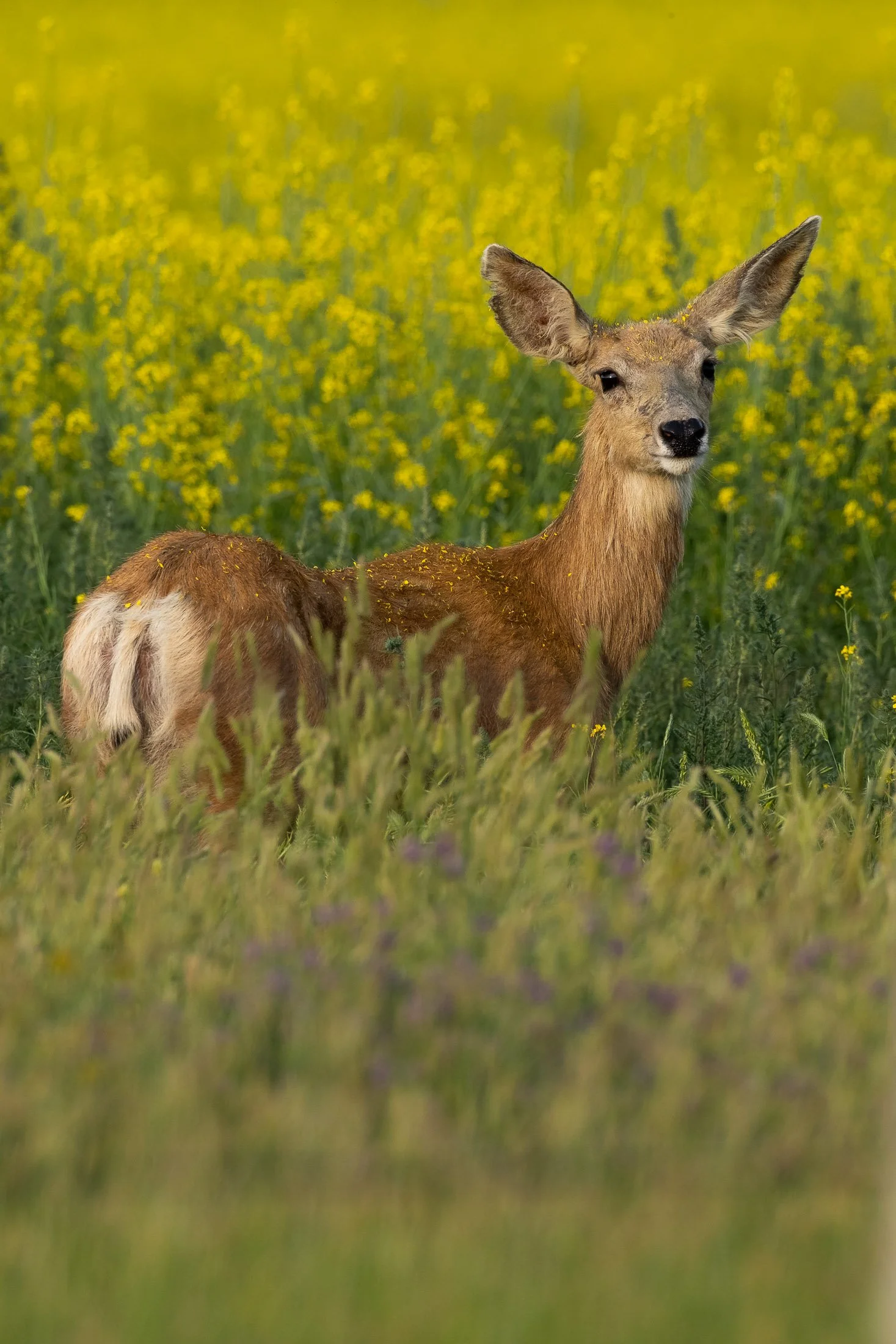 DSCF5674.jpg