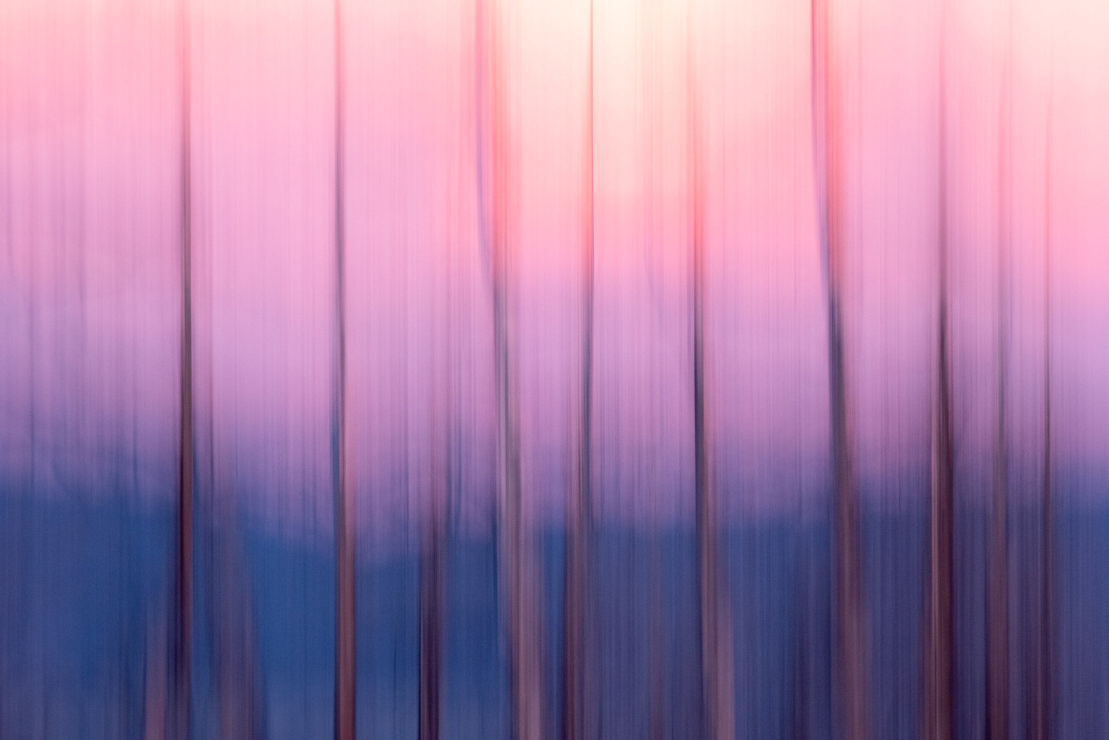 DSCF5685.jpg