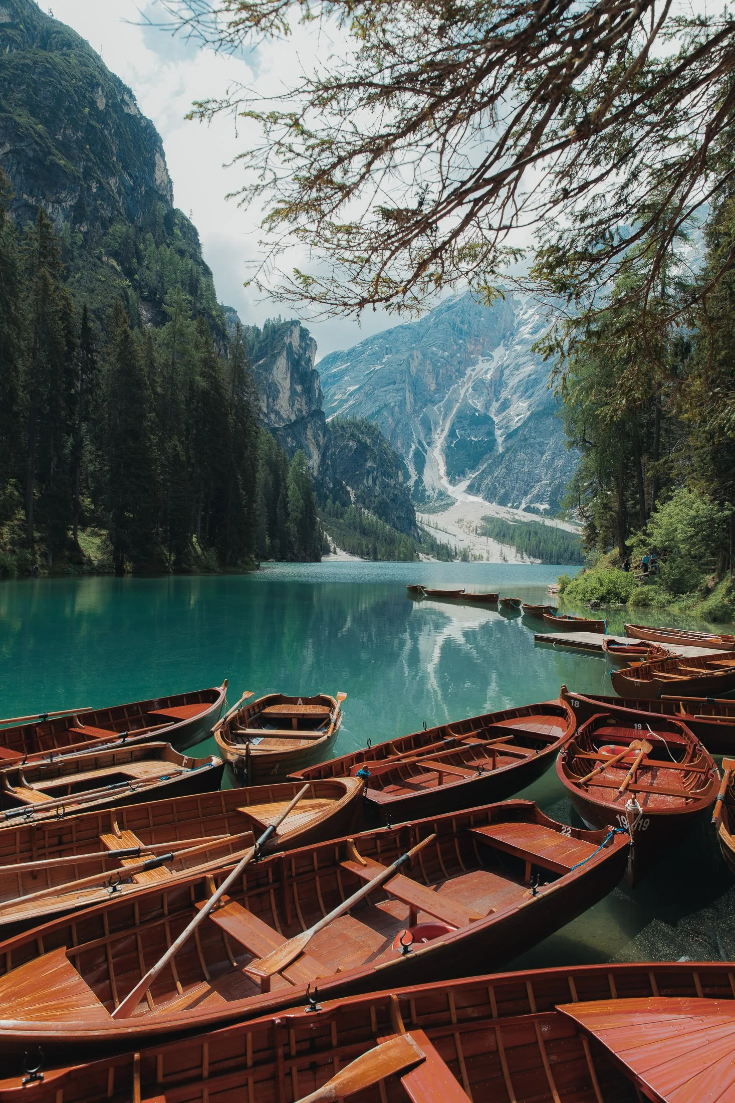 Maggie Parise - Alps-44.jpg