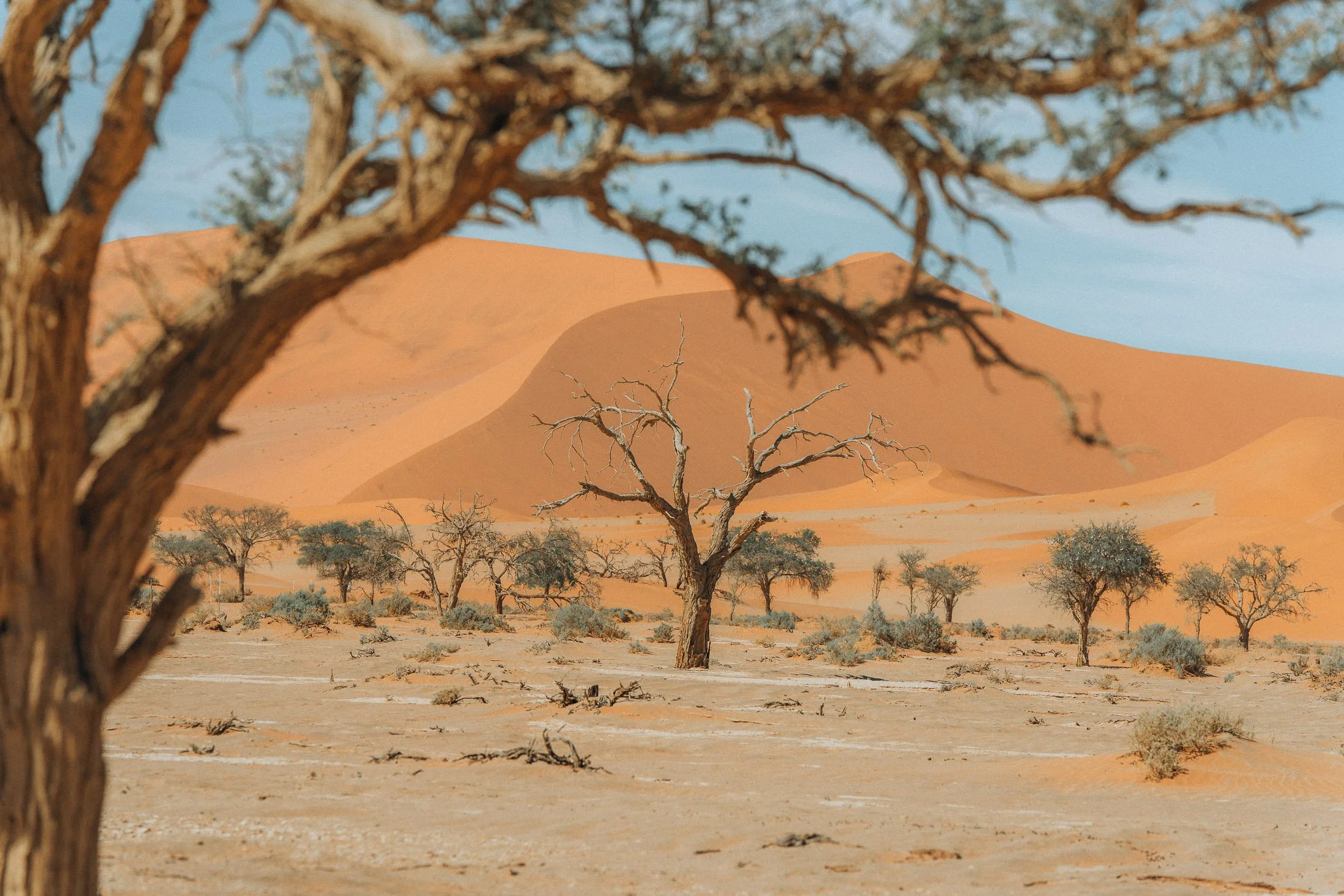 Maggie Parise - Namibia-9.jpg