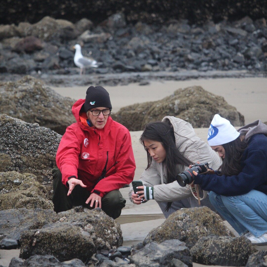 It's hard to believe it's already been a month since we returned to the rock 🪨 So far, we have braved the wild Oregon coast weather, marveled at amazing tidepool/wildlife sightings, and have engaged with over 3,000 visitors! We can&rsquo;t wait to &