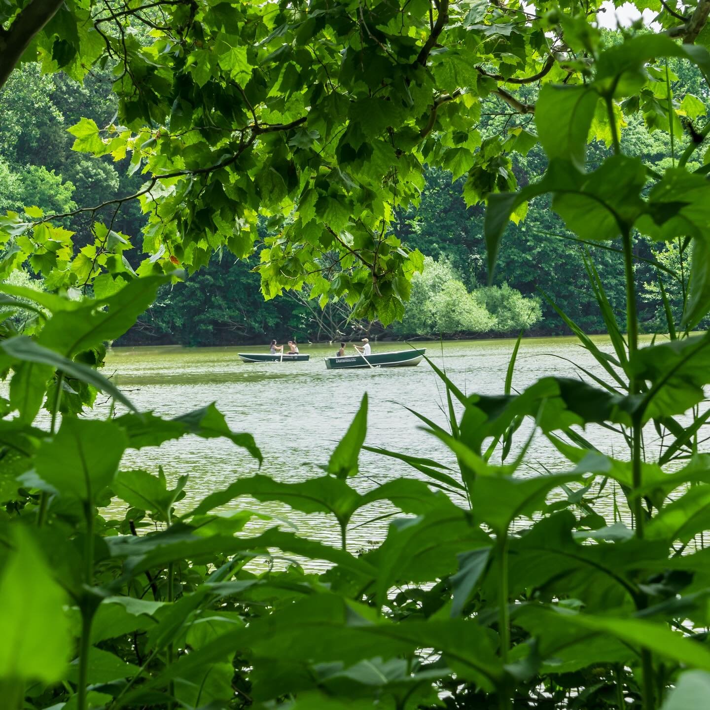 Through the lens of a photographer. Happy World Photography Day! 

📸: @_artofmemory 

#worldphotographyday #creatingmemories #fyp #landscapephotography #seetheworld #nycphotographer #centralpark #blackwomenphotographers #outdoors