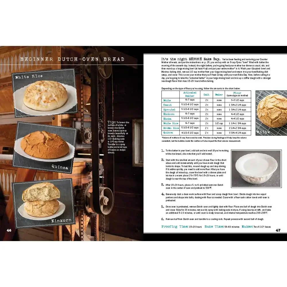 WILD BREAD - 1.webp