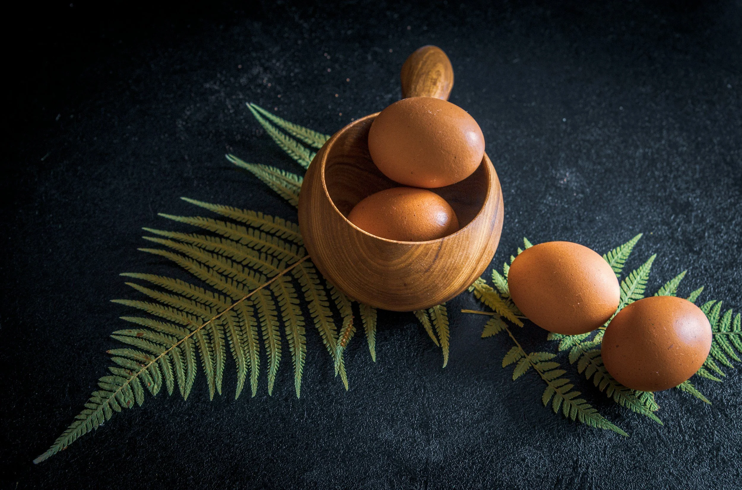 Female fertility genetic testing egg concept