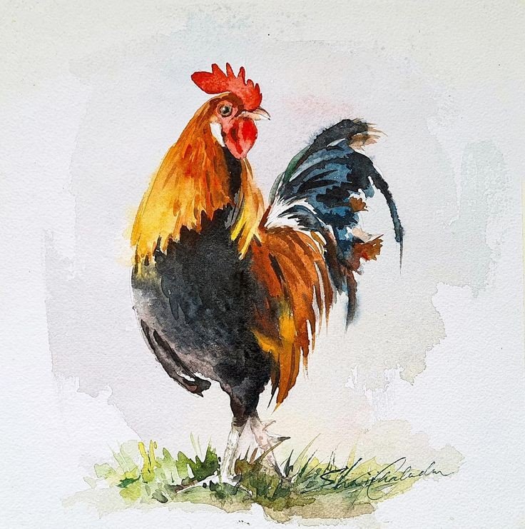 h20 rooster.jpg