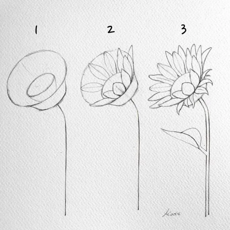 draw a flower.jpg