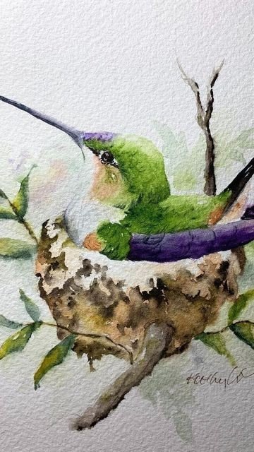 H20 hummingbird in nest.jpg