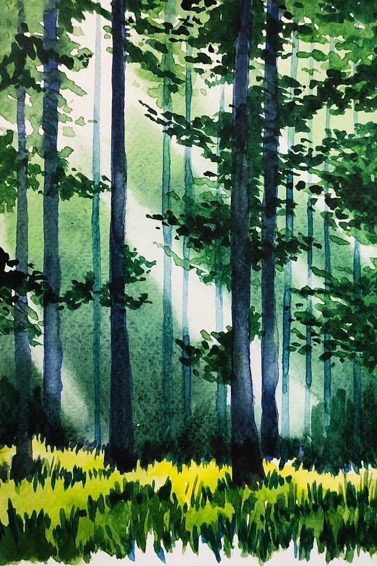 H20 forest erase rays of light.jpg