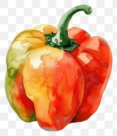 Zoom! Zoom! Tuesday October 6th at 6.30pm - Watercolor Bell Pepper