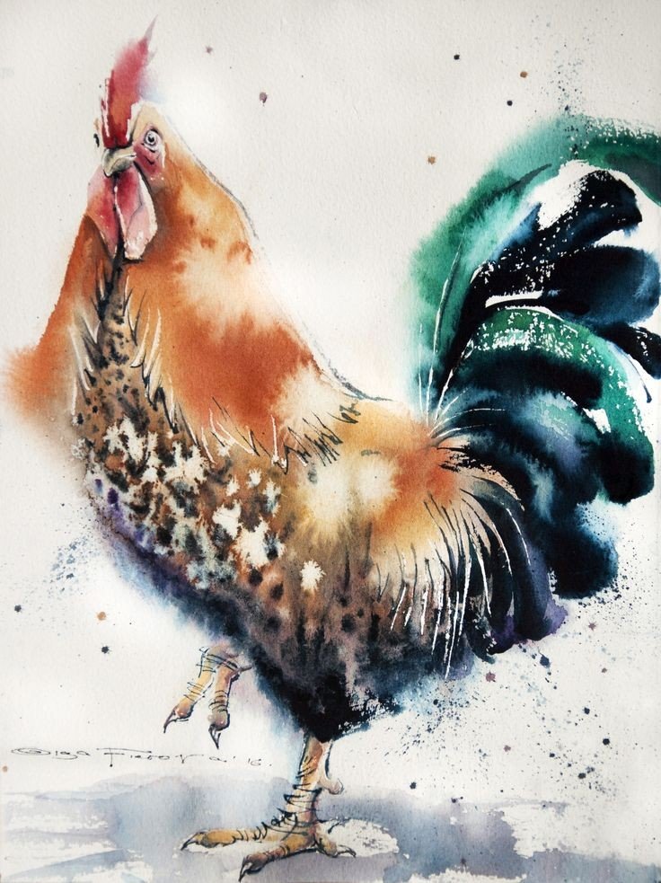 h20 speckled rooster.jpg